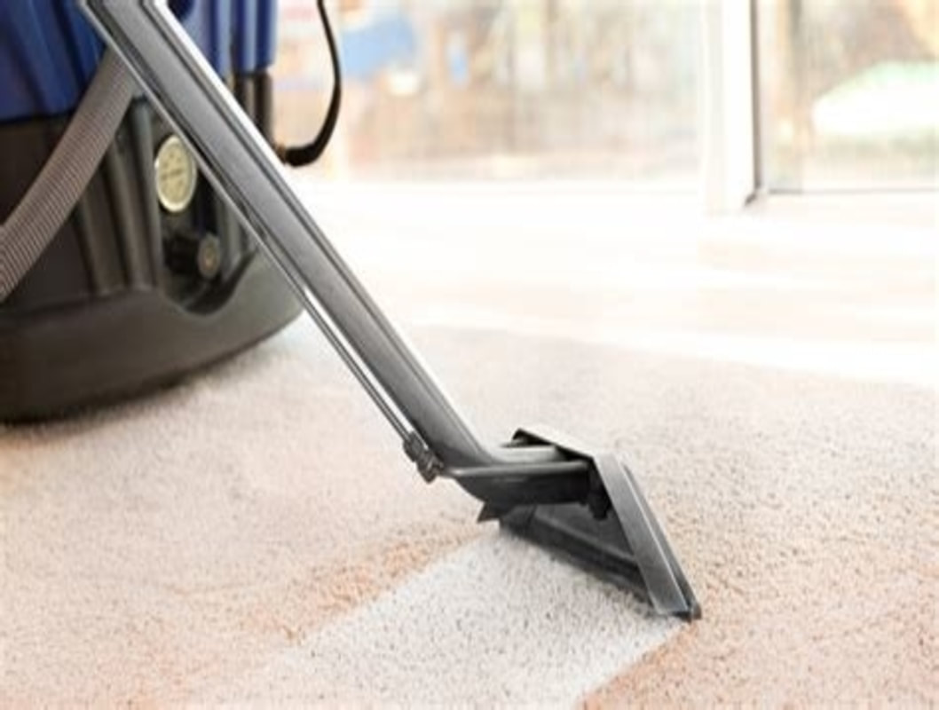 Mactier Carpet & Upholstery Cleaning - 705-482-0545 - P1L 2G7